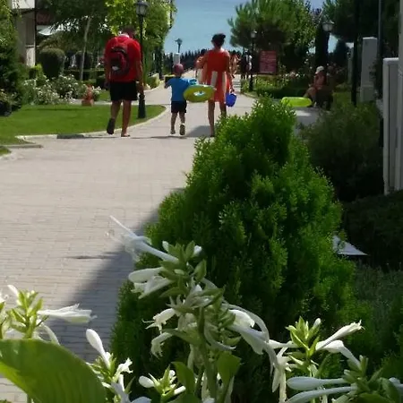 Aqua Dreams - New Wifi * סבטי ולאס