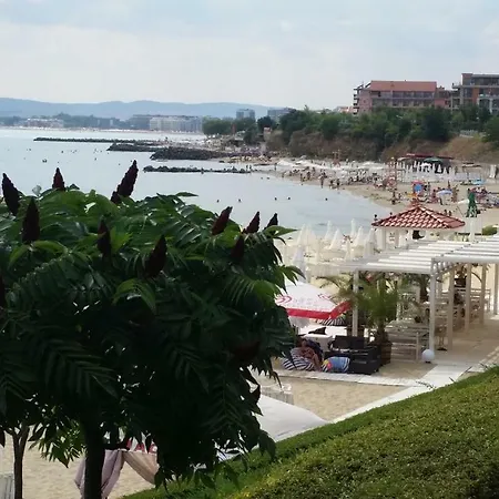 Aqua Dreams - New Wifi סבטי ולאס