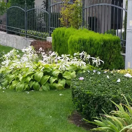 Aqua Dreams - New Wifi * סבטי ולאס