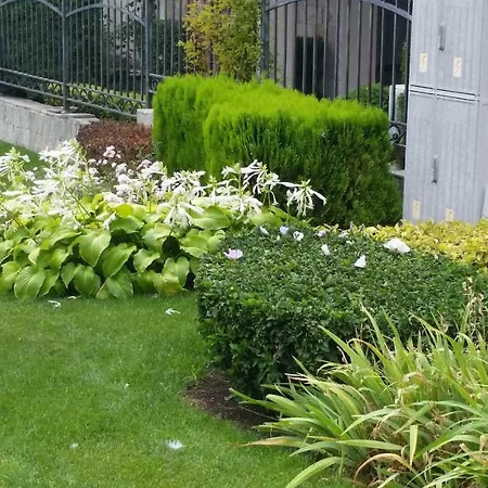 Aqua Dreams - New Wifi Апартаменты Свети-Влас