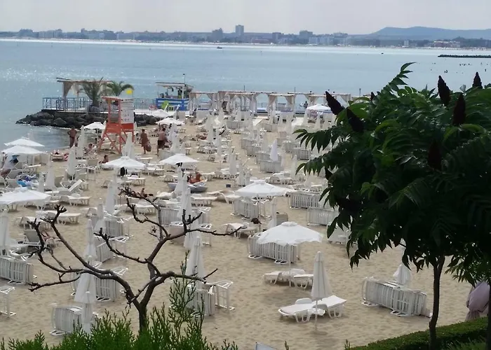 Aqua Dreams - New Wifi *